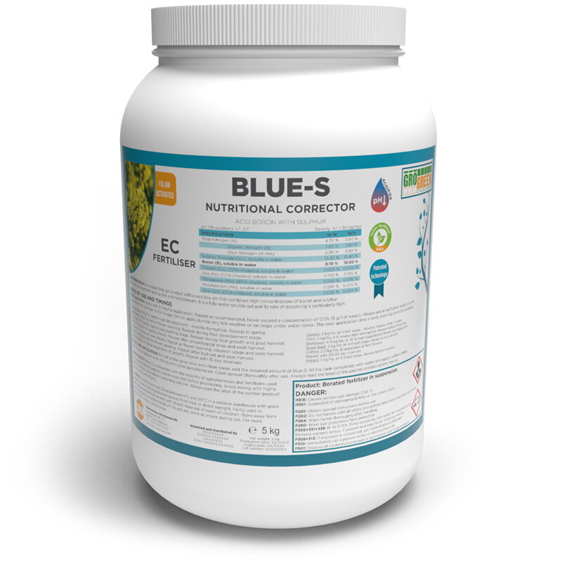 blue-s-2