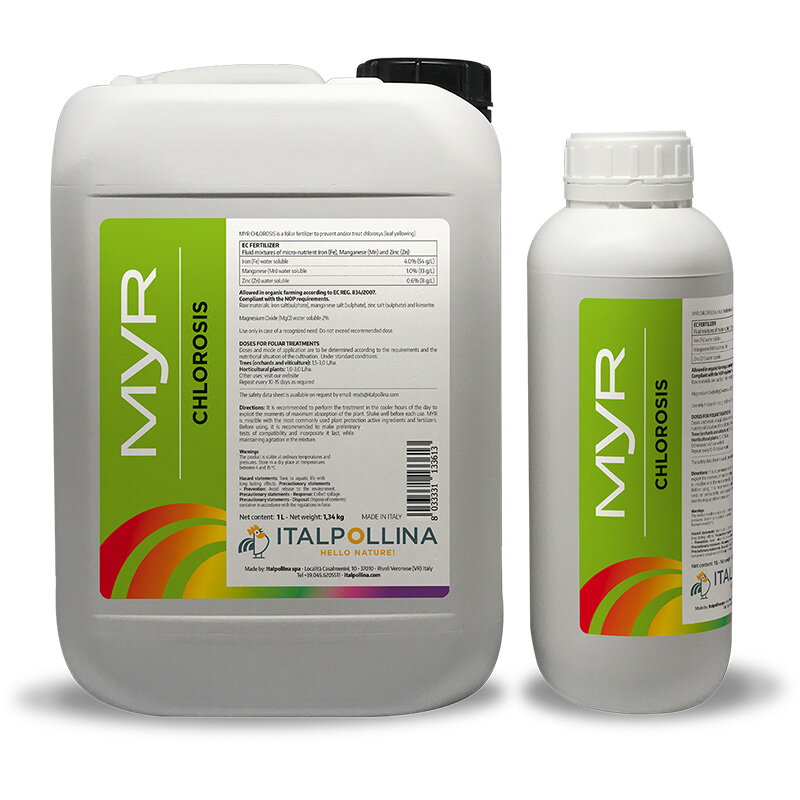 myr-chlorosis