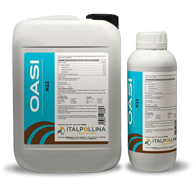 oasi-n22