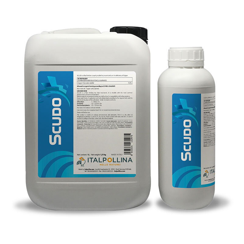 scudo