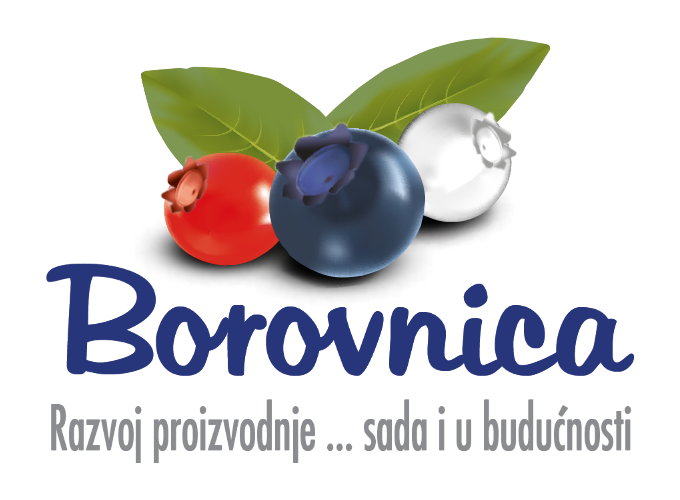 borovnica.biz