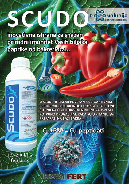 006-t