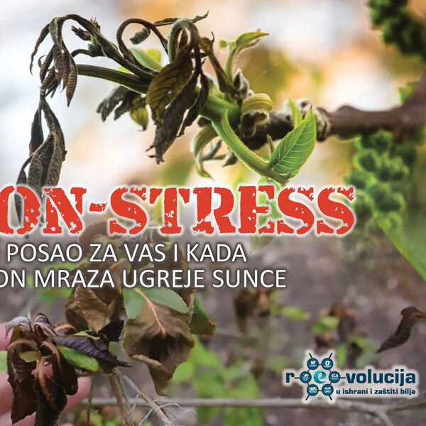 NON-STRESS radi posao za vas i kada nakon mraza ugreje sunce