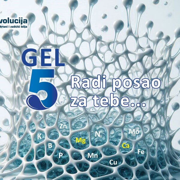 GEL FIVE