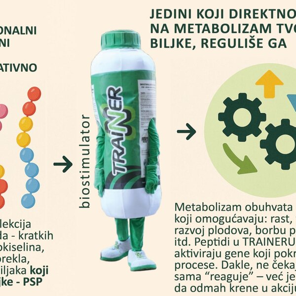 Vreme je da razlikujete šećerne vodice među biostimulatorima