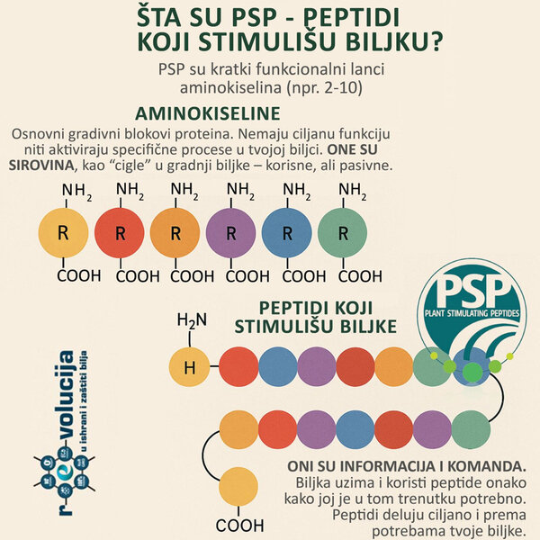 Šta su PSP - peptidi koji stimulišu biljku