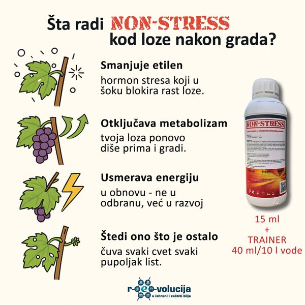 Da li odmah nakon grada treba ići s fungicidima u vinogradu?