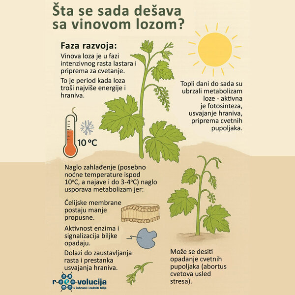 Pripremite svoju lozu za nadolazeću promenu vremena