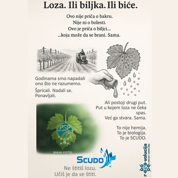Kako efikasno zaštititi lozu tokom nadolazeće promene vremena