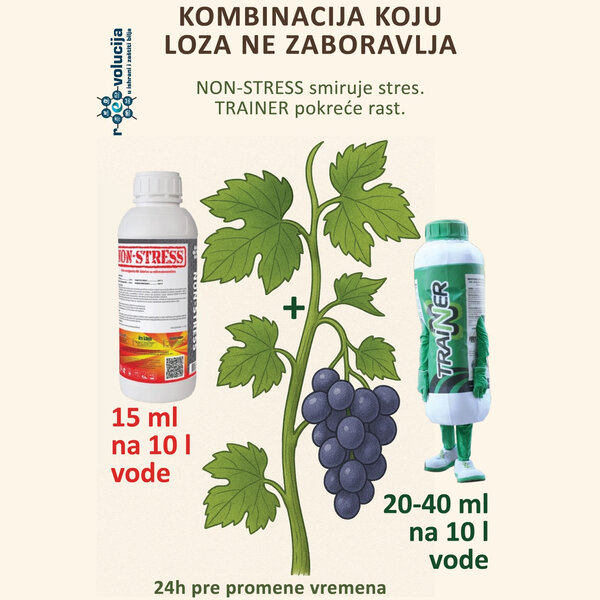 Kombinacija koju loza ne zaboravlja NON-STRESS + TRAINER
