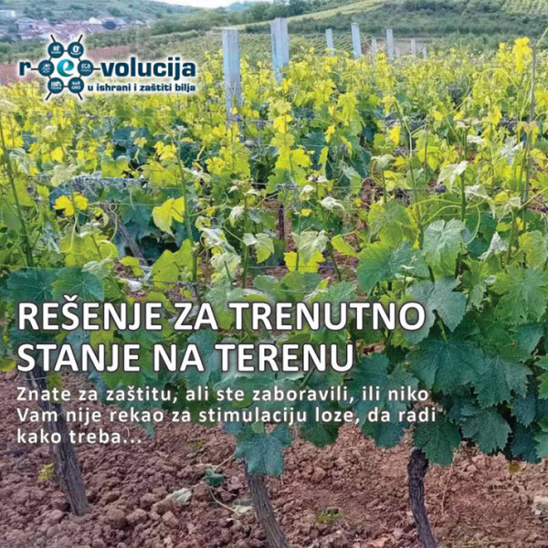 Rešenje za trenutno stanje na terenu