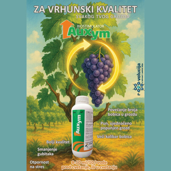 ŠTA JE AUXYM?