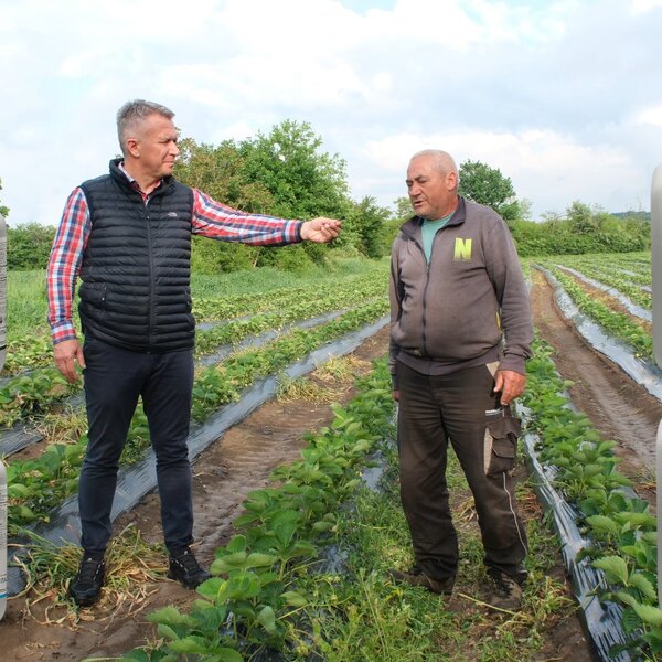 Iskustva Dragana Markovića s. Ralje kod Smedereva sa Hello Nature proizvodima