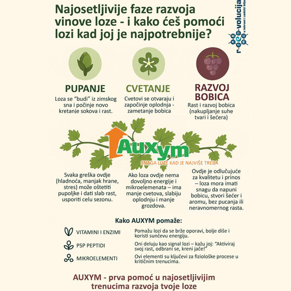 Najosetljivije faze razvoja vinove loze