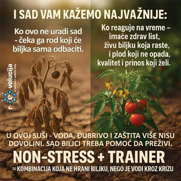 U ovoj suši - voda đubrivo i zaštita više nisu dovoljni