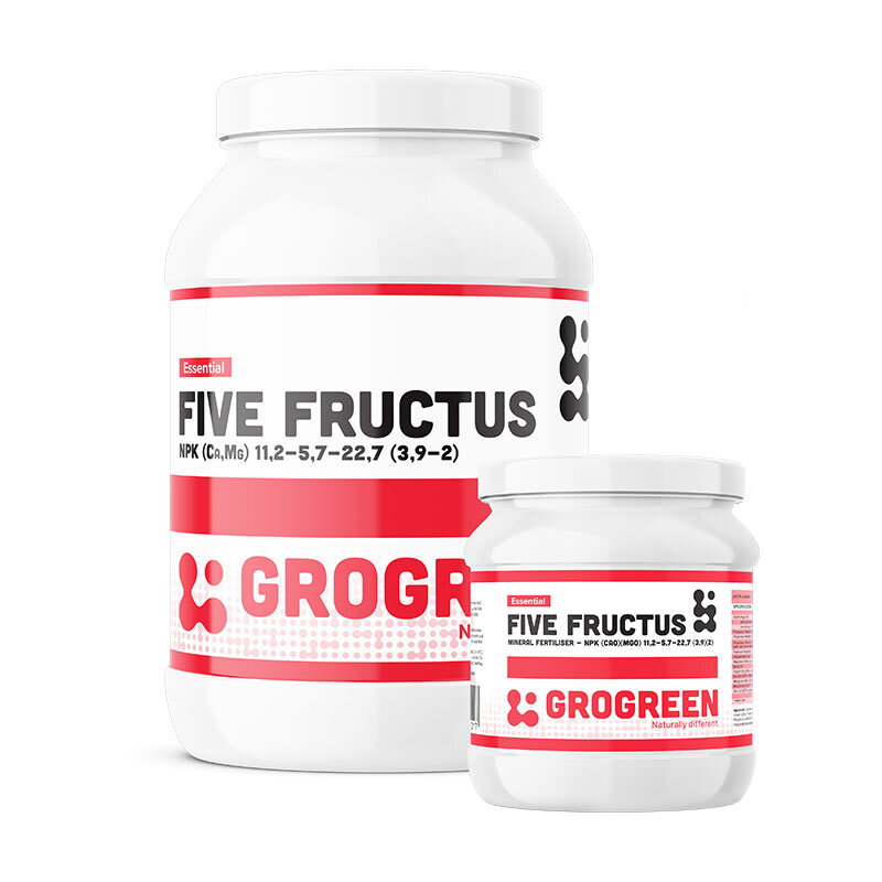 five-fructus